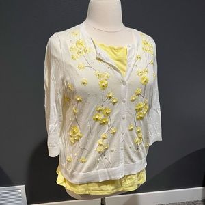 Talbots sweater set, 2X petite